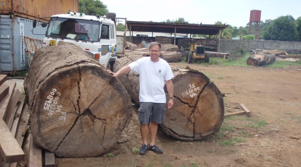 ipe logs from brazil